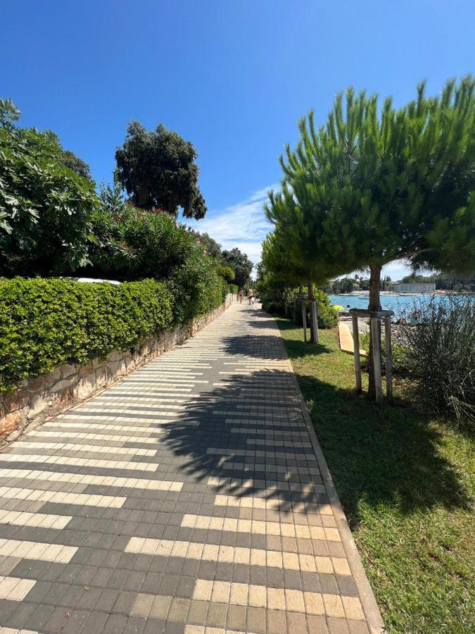 Villa Salteria 3, Pool, Private Territory, Pinery Rovinj Exterior photo